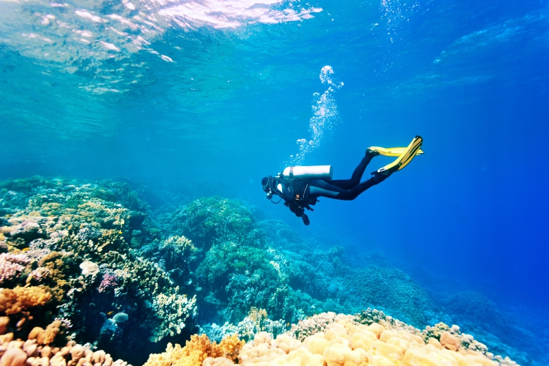 lp_support_shutterstock_177442700.jpg Entreprise de travaux sous-marins, Provence-Alpes-Côte d'Azur